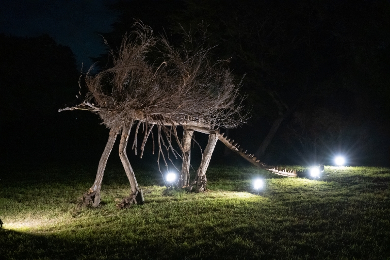 ライトアップ画像