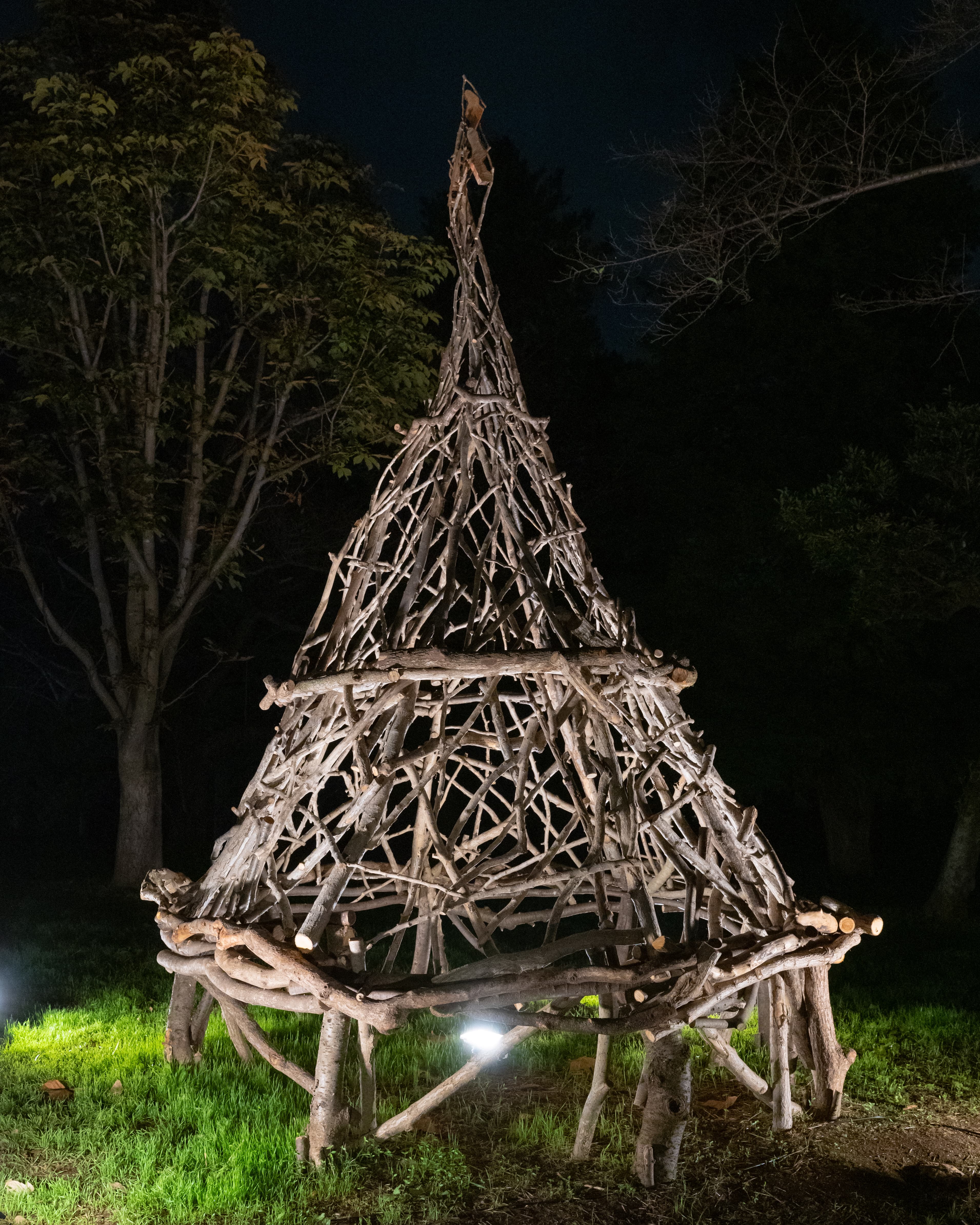 ライトアップ画像