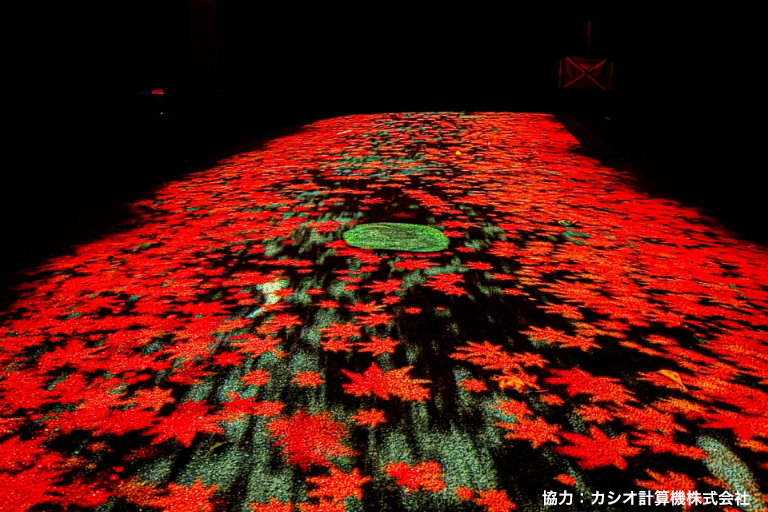 ライトアップ画像