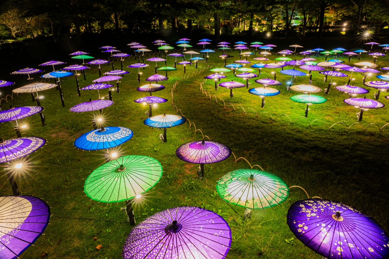 ライトアップ画像