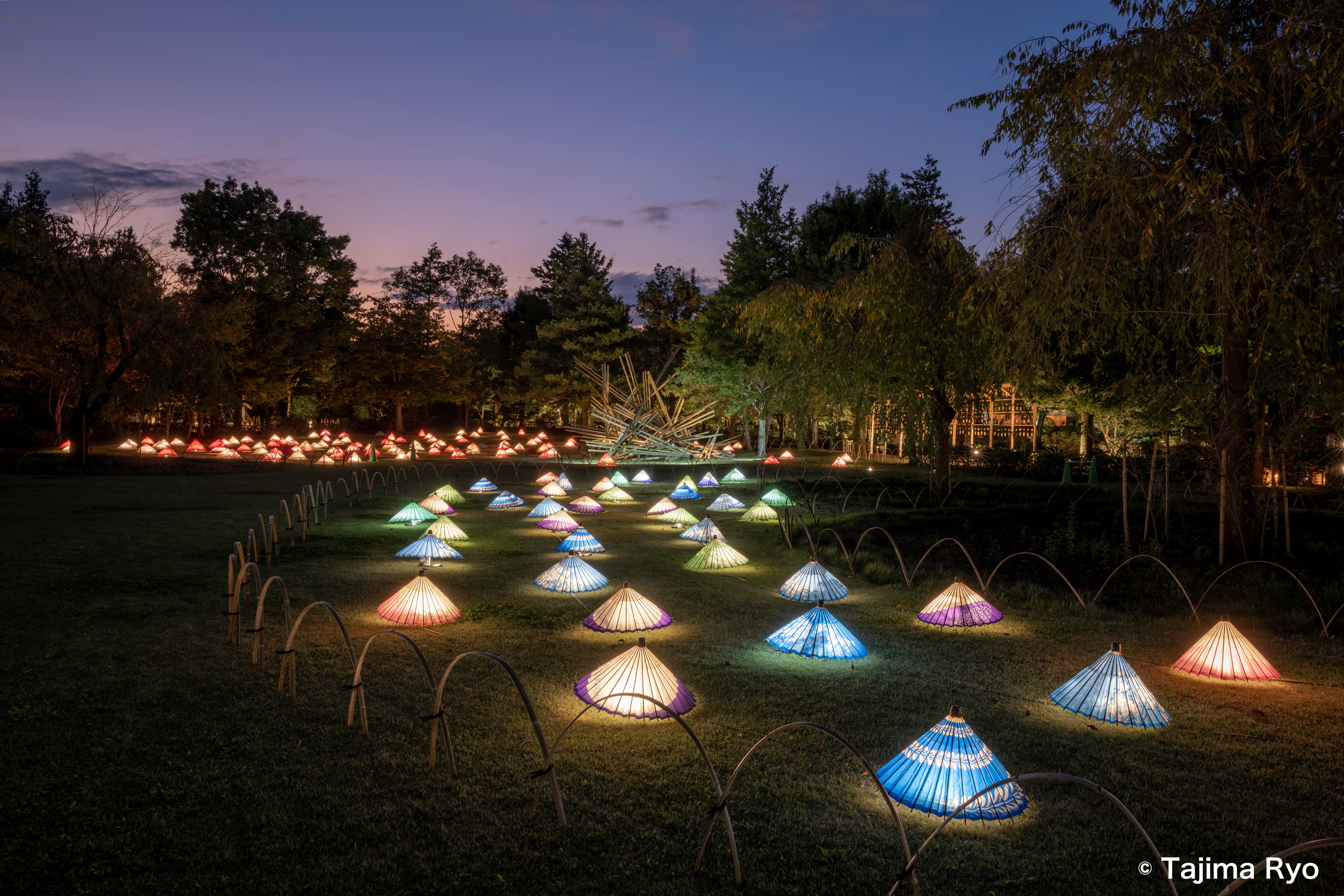 秋の散歩道 セントラルパーク 秋の散歩道 写真素材 [4881423] - フォト
