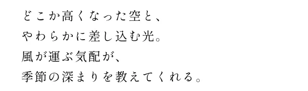 それは色とりどりの花畑や緑が広がる景色。