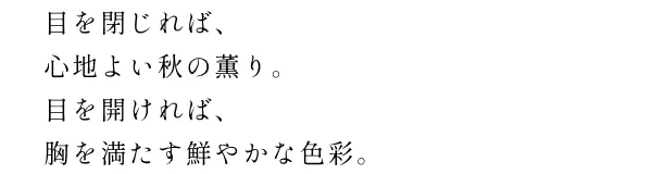 幻想的に空を舞うしゃぼん玉。