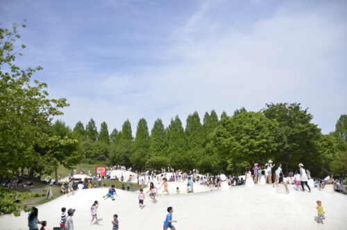 こどもの森 – 国営昭和記念公園公式ホームページ
