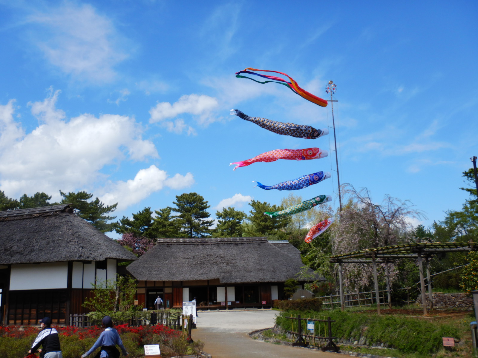 里だより【4月16日】 – 国営昭和記念公園公式ホームページ