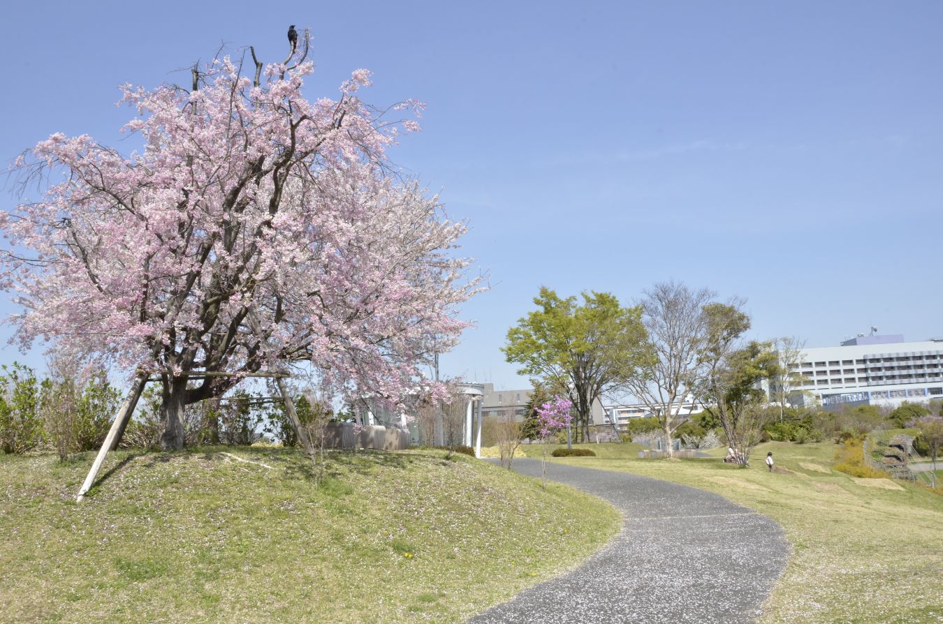 3.花みどり文化センター