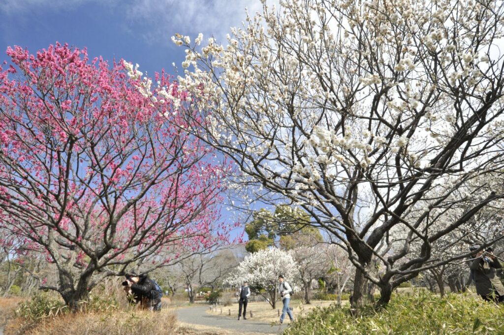 花木園