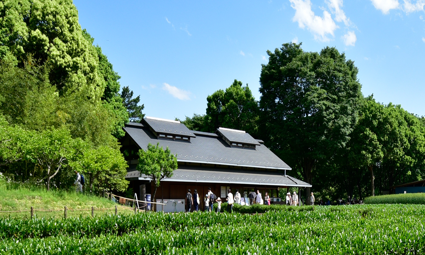 里の小屋