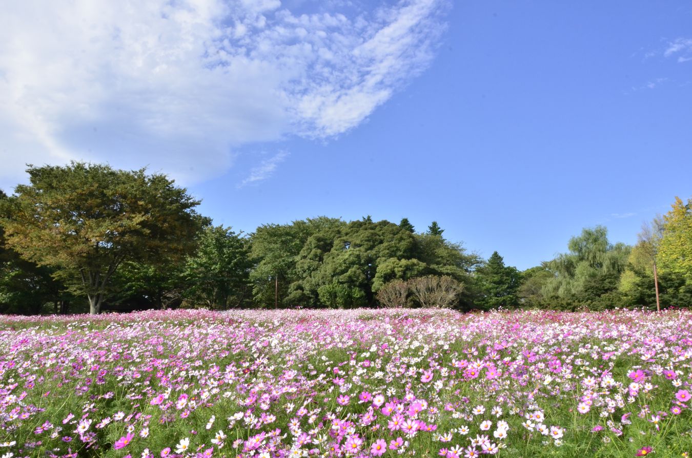 05秋10月