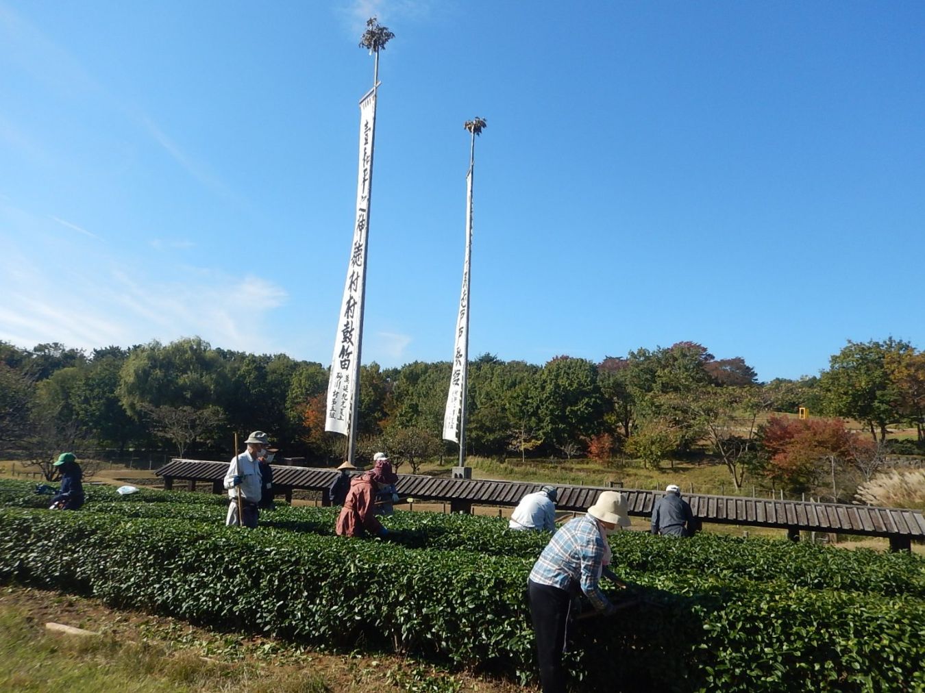 活動の様子 / 11月