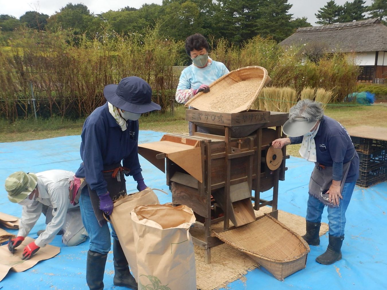 活動の様子 / 10月