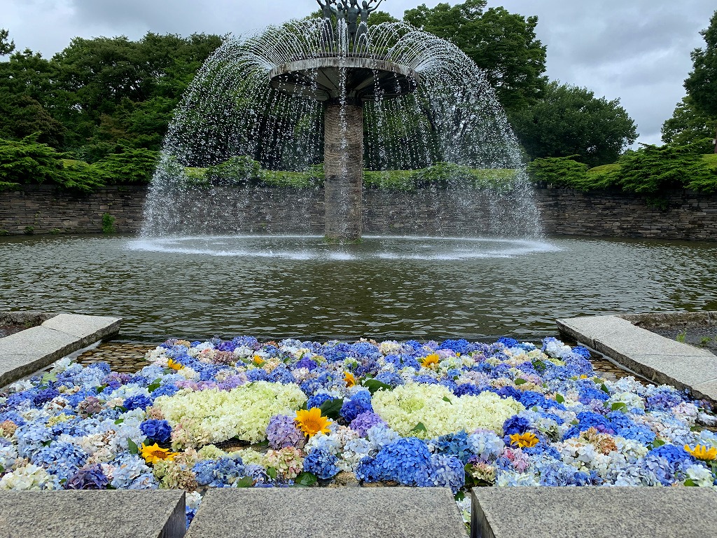 開花情報（7/1） – 国営昭和記念公園公式ホームページ