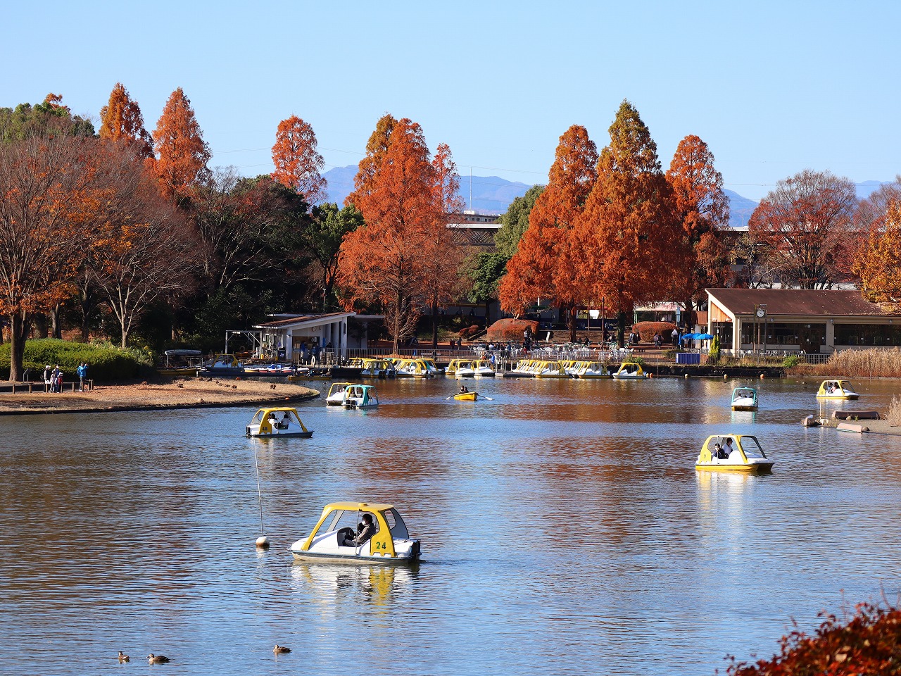 IMG_1075 – 国営昭和記念公園公式ホームページ