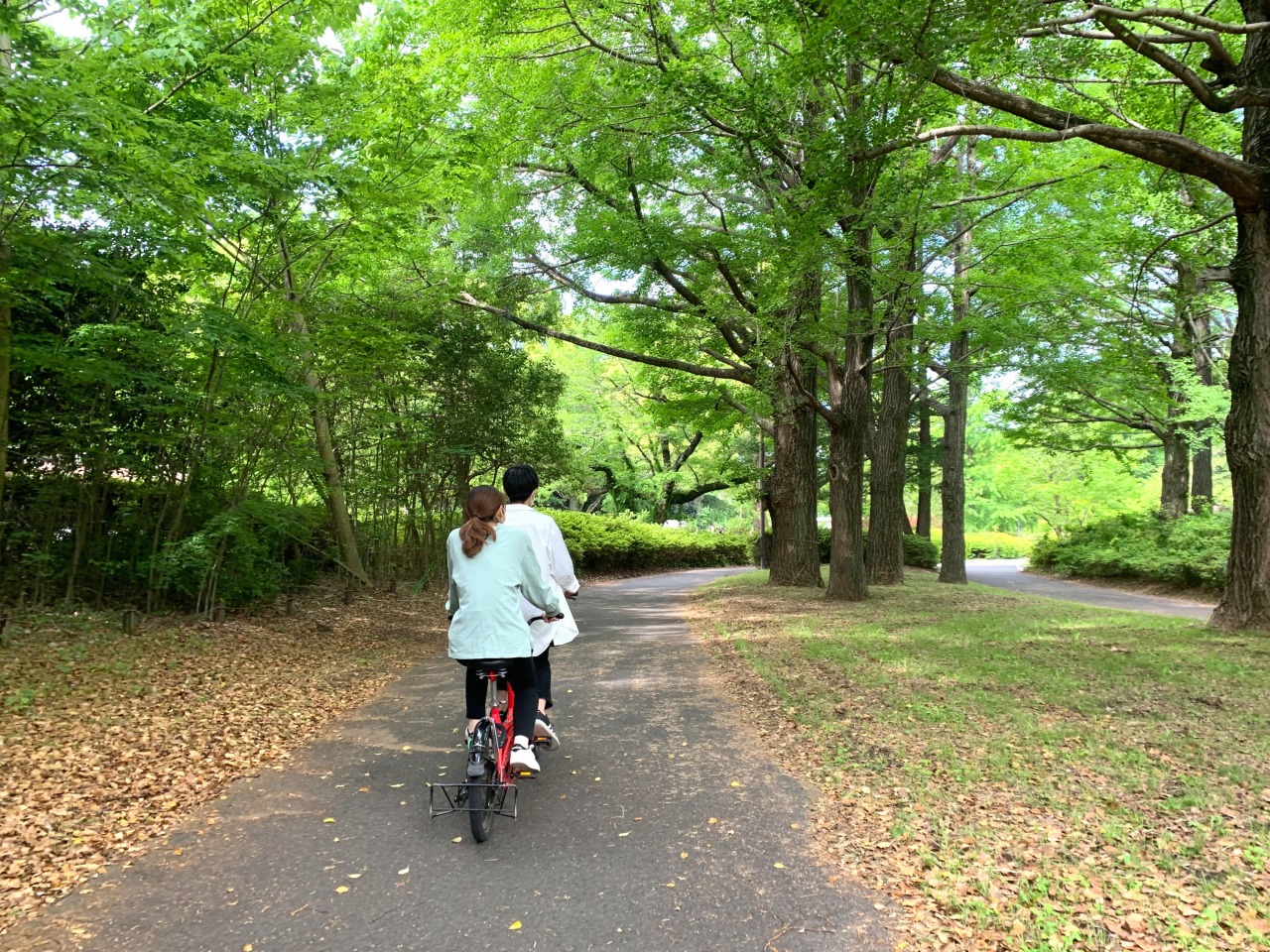 昭和記念公園