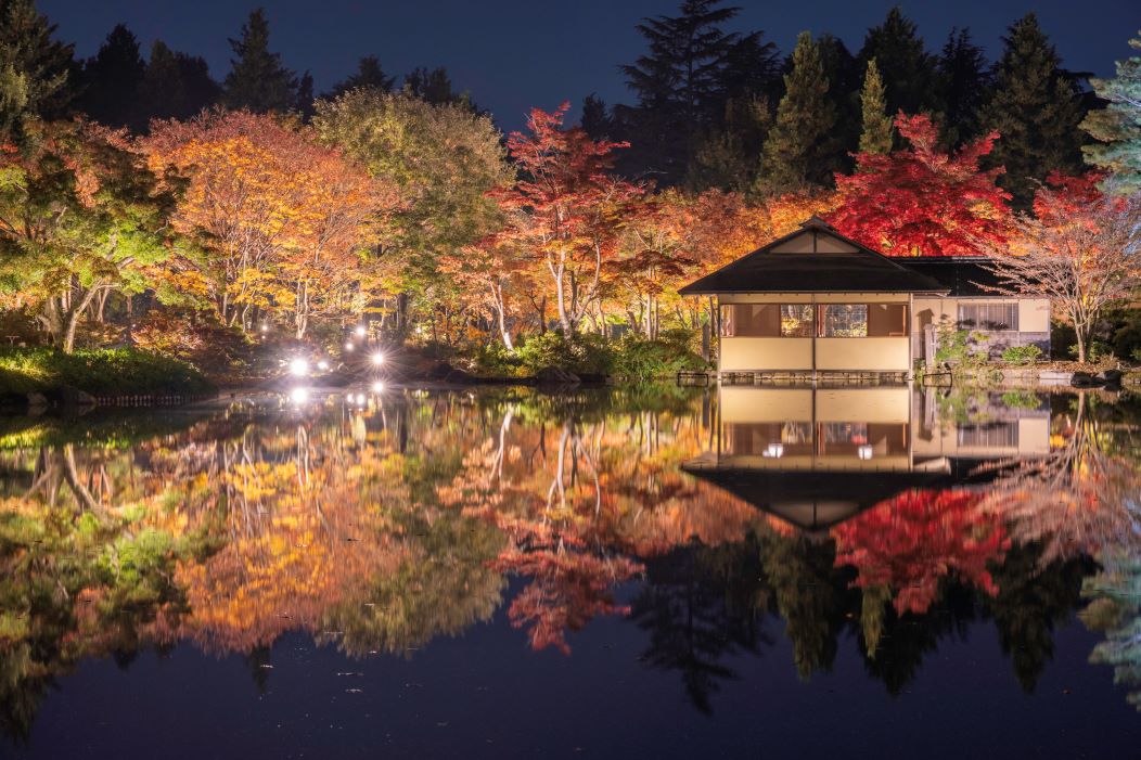 [東京景點] 2023 昭和紀念公園銀杏跟楓葉，門票票價、交通資訊與銀杏季、楓葉季跟聖誕節夜間點燈 @莉芙小姐愛旅遊