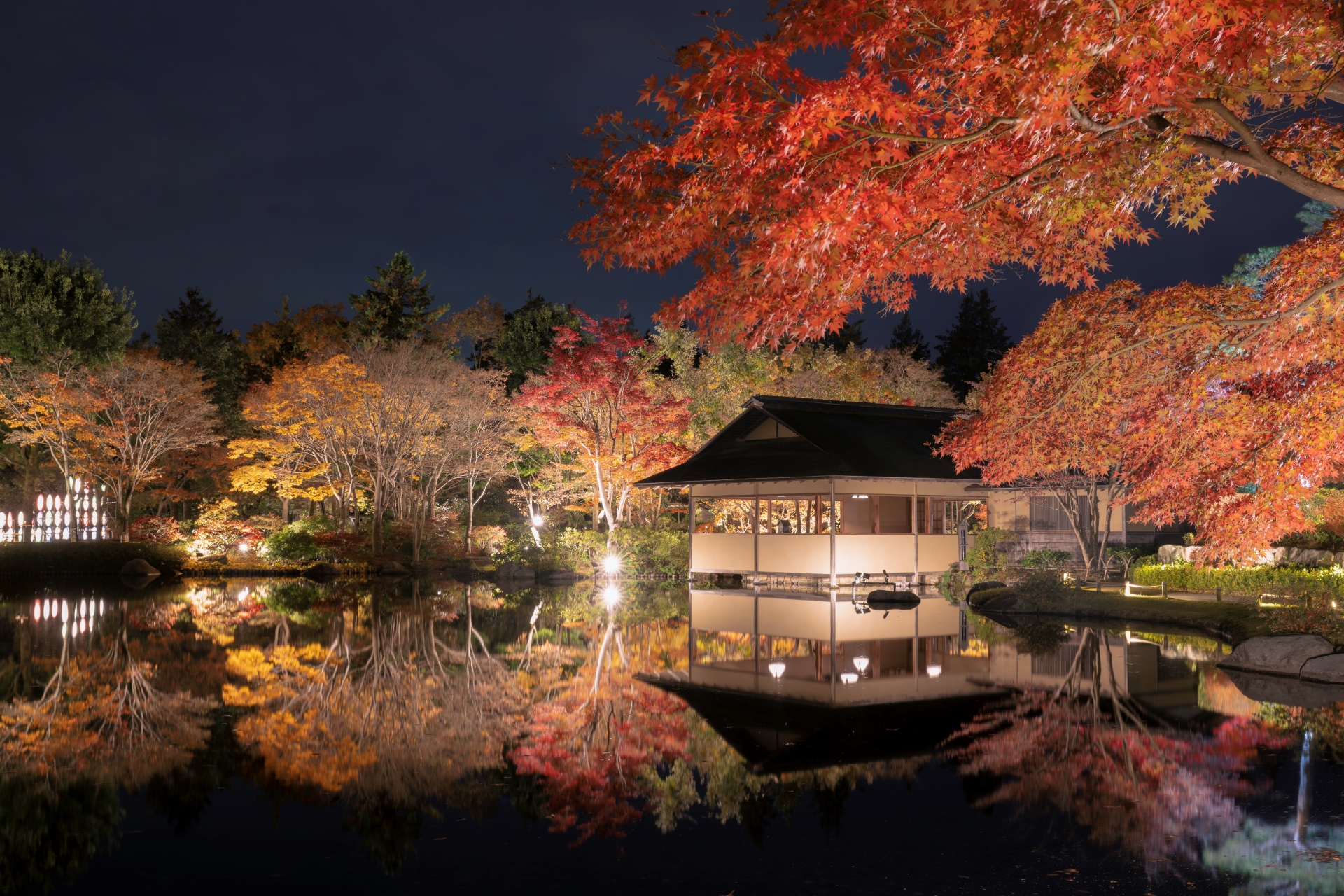 黄葉・紅葉まつり＆秋の夜散歩2024 －特別な秋をすぐそばで。－ – 国営昭和記念公園公式ホームページ