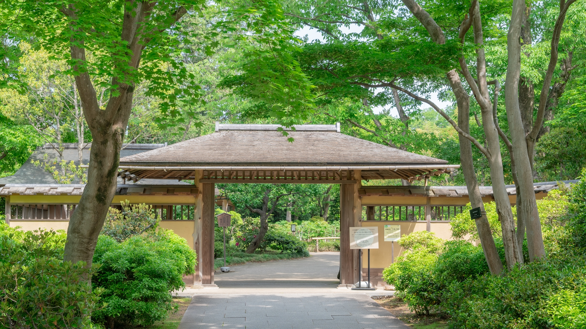 昭和記念公園