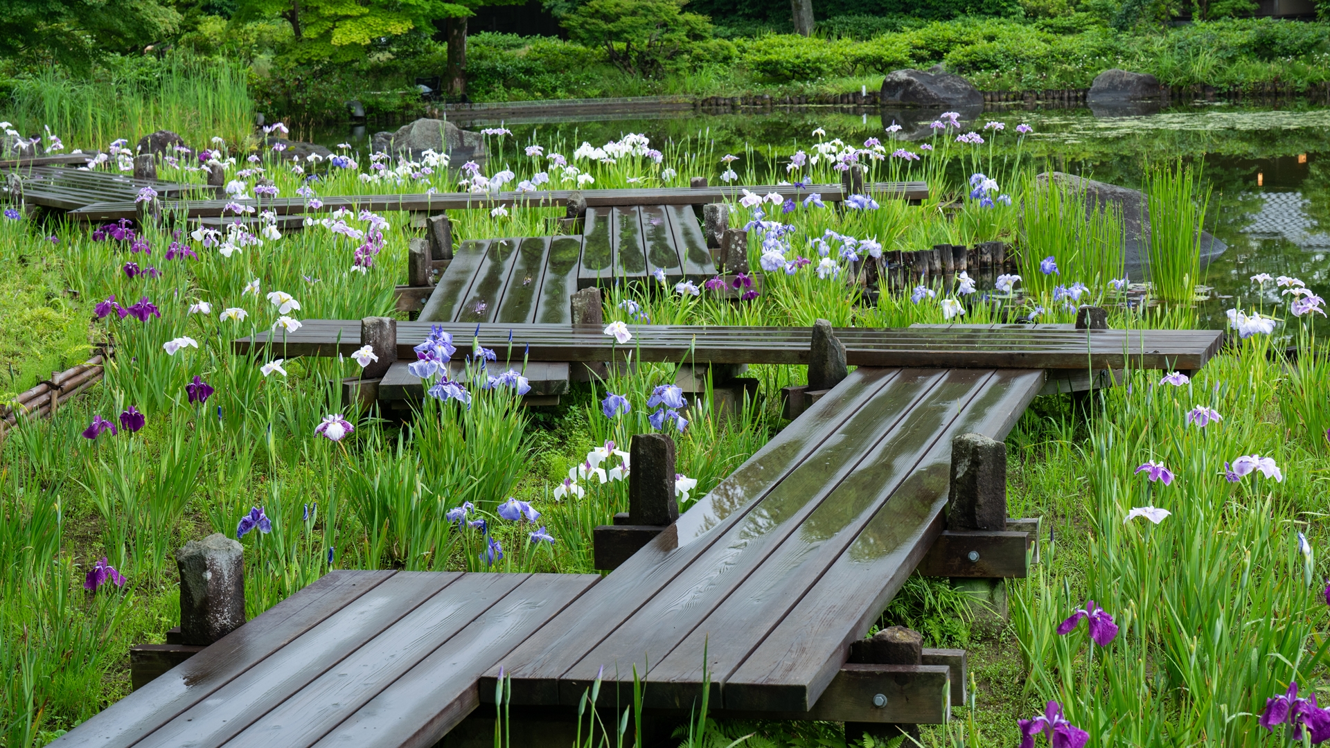 昭和記念公園