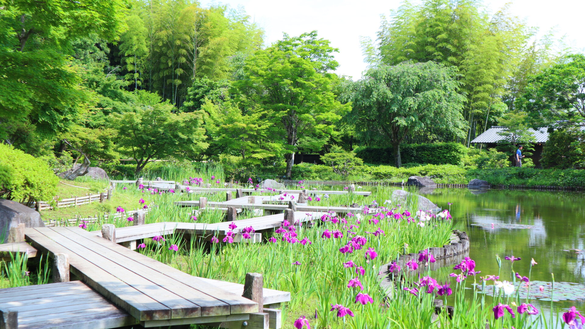 昭和記念公園
