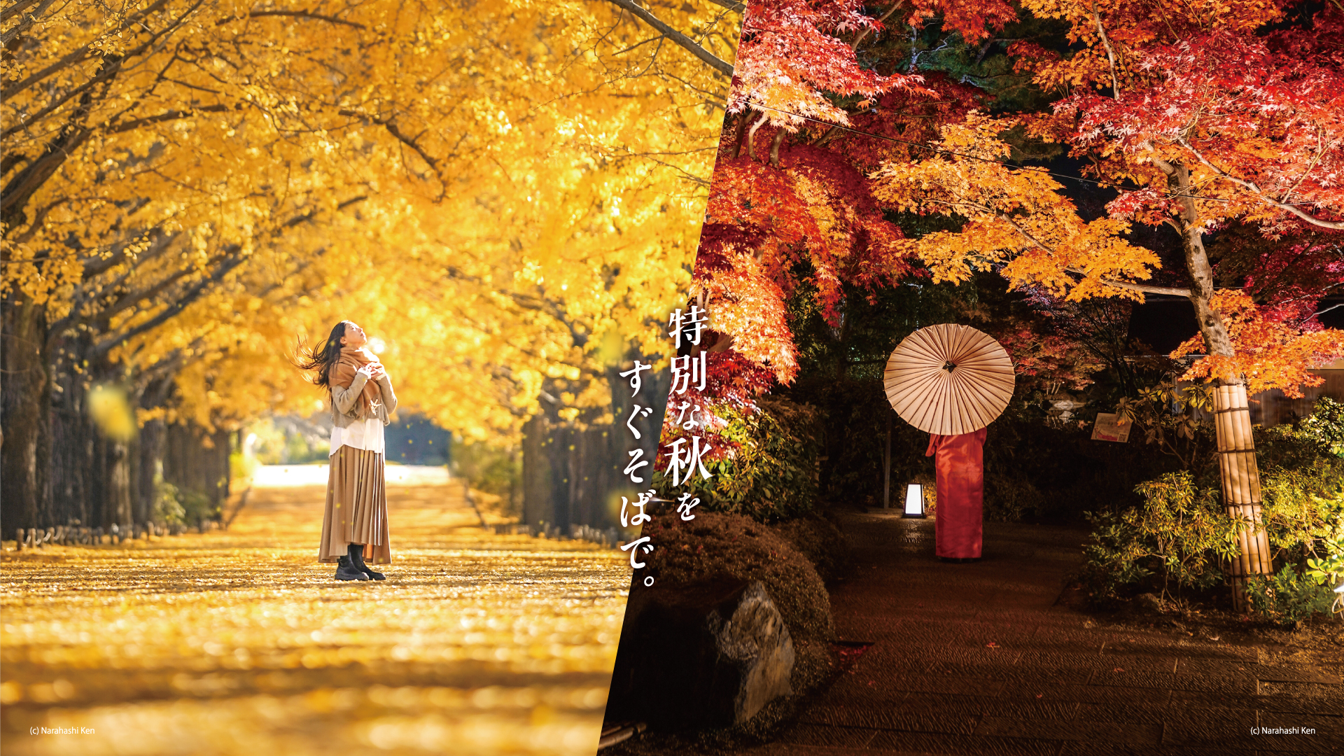 昭和記念公園