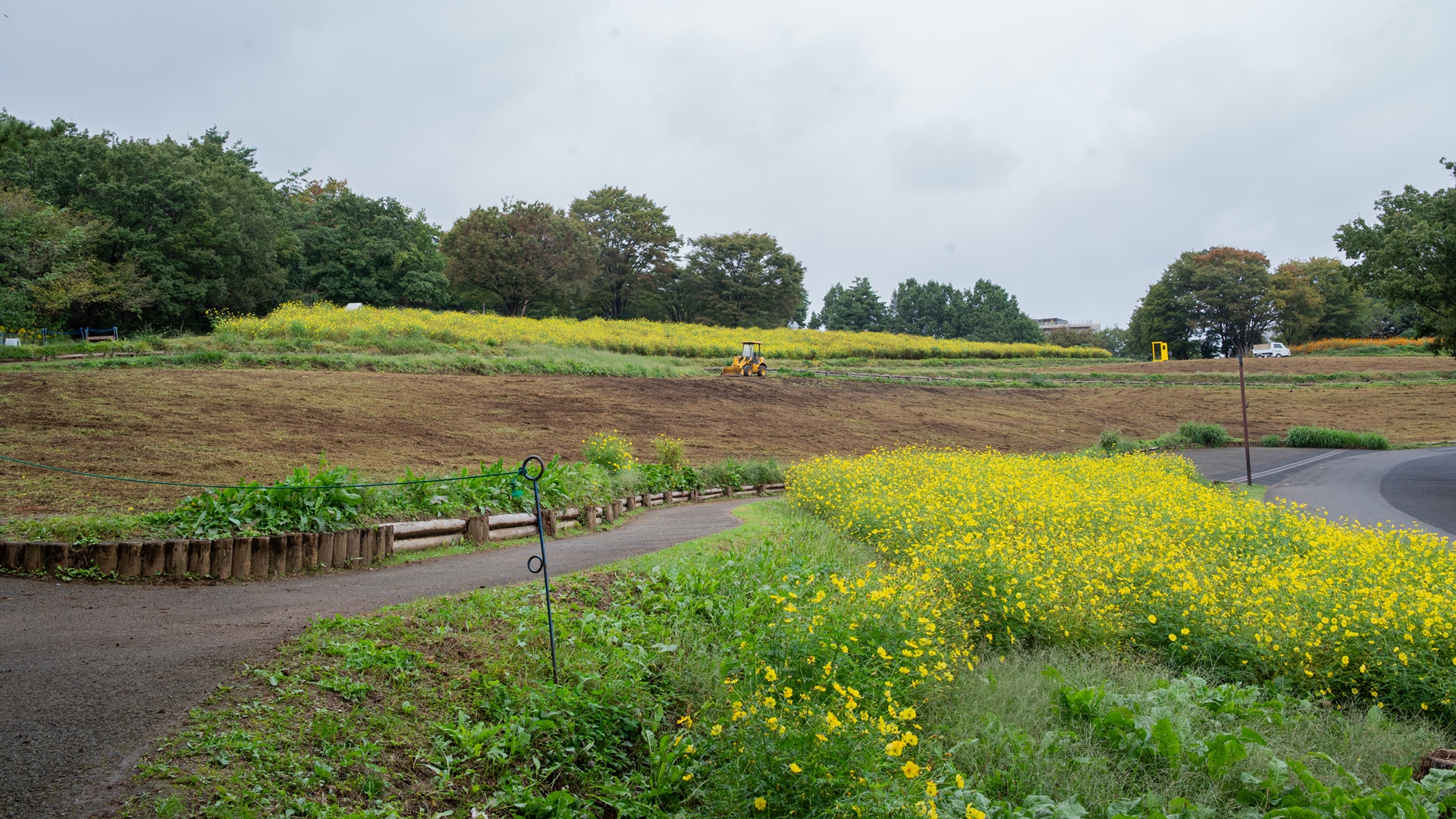 昭和記念公園