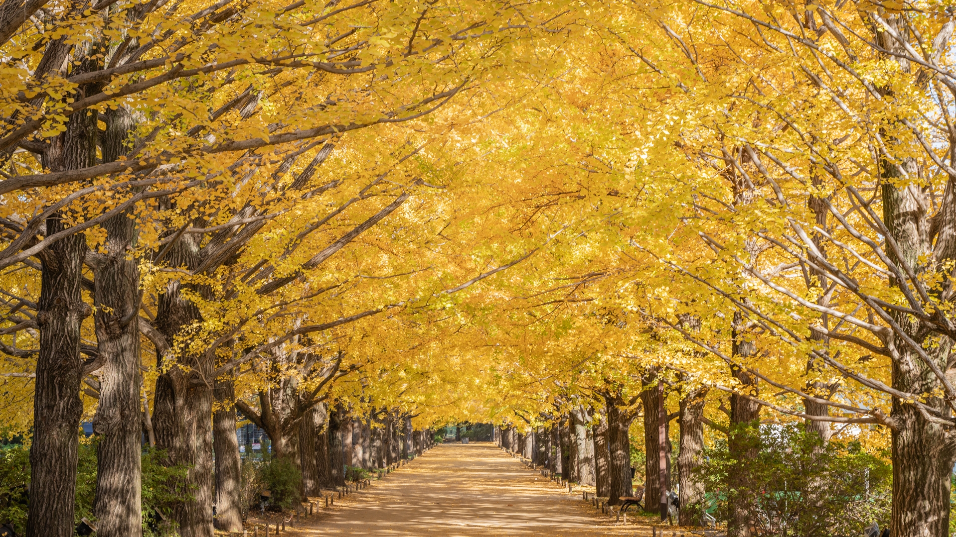 日本の風景　自然公園50周年記念 日本の風景 自然公園50周年記念