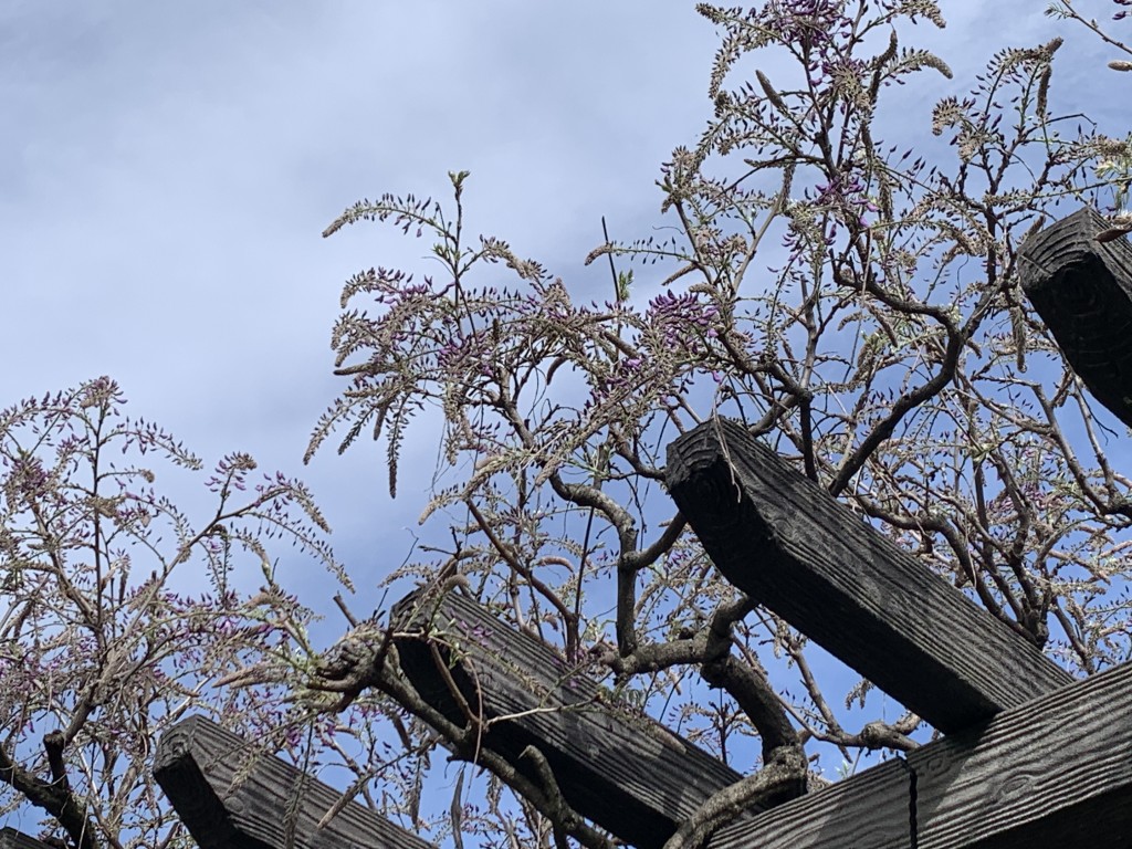 立川口カナール フジ