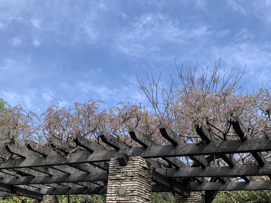 立川口カナール フジ