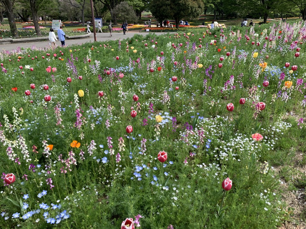 ハーブの丘リナリア