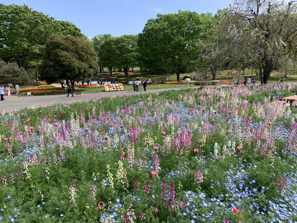 ハーブの丘リナリア