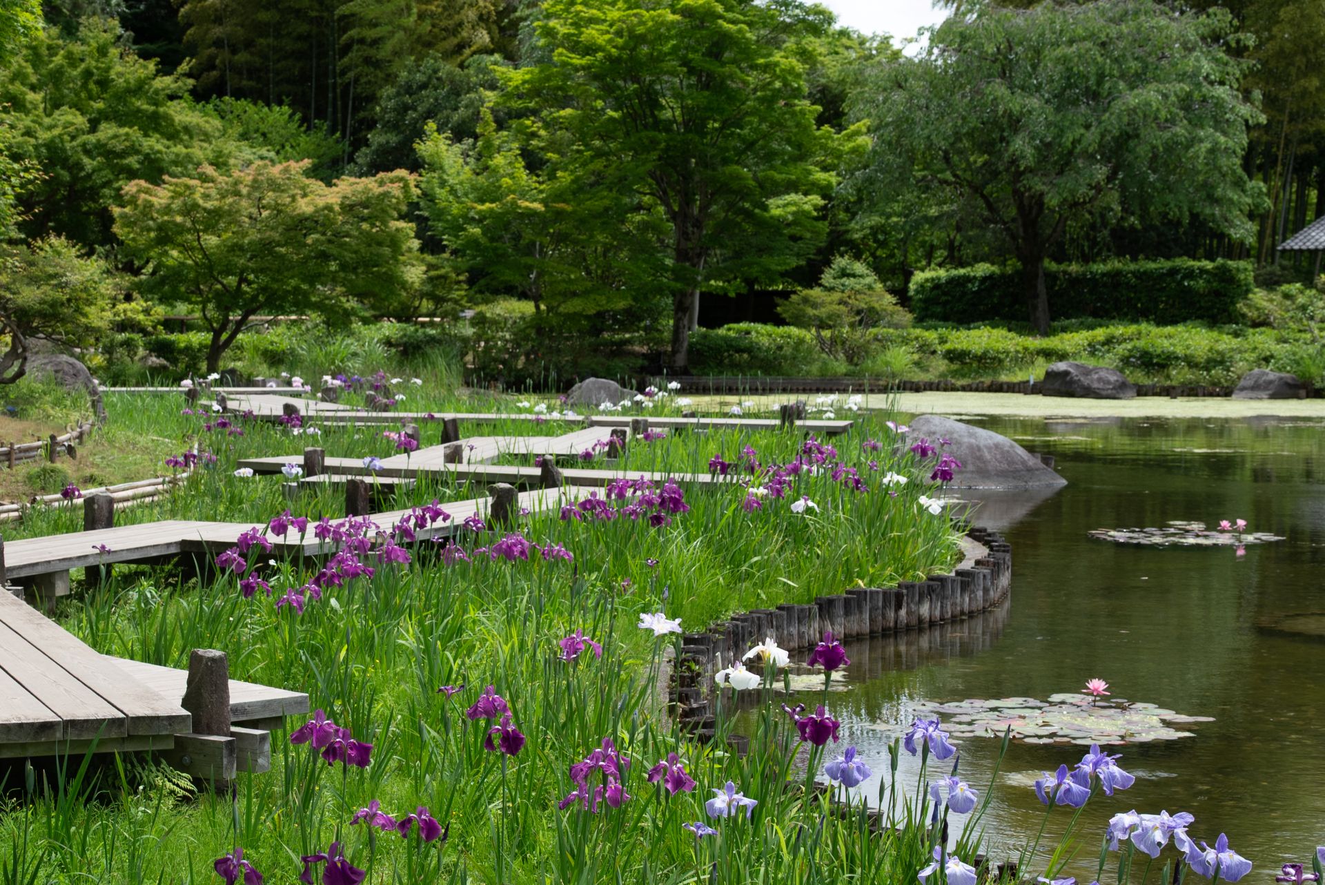 昭和記念公園