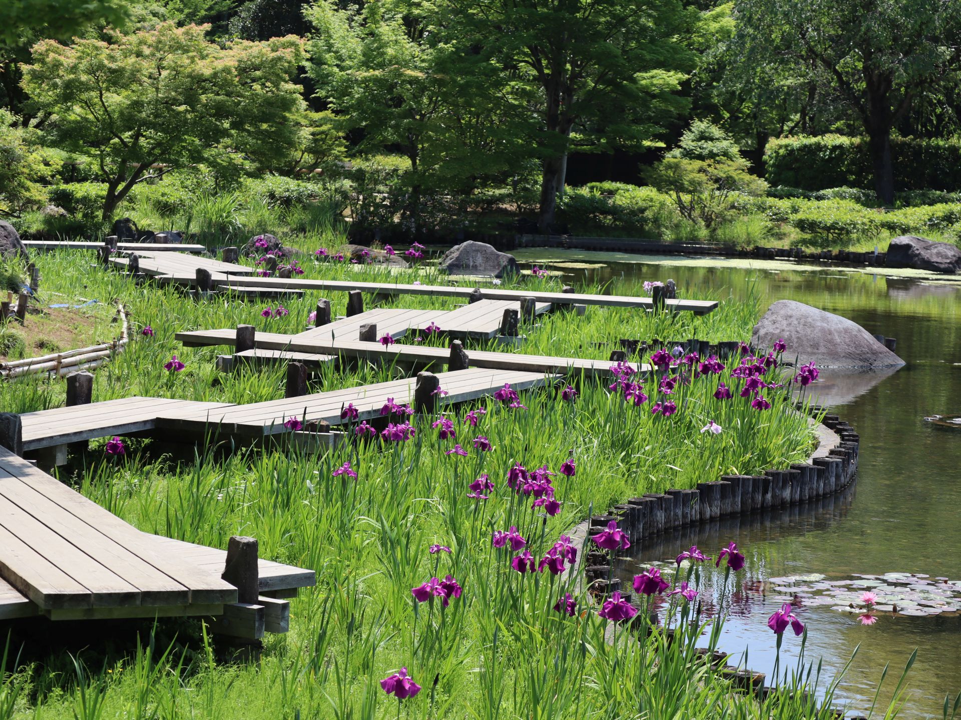 昭和記念公園