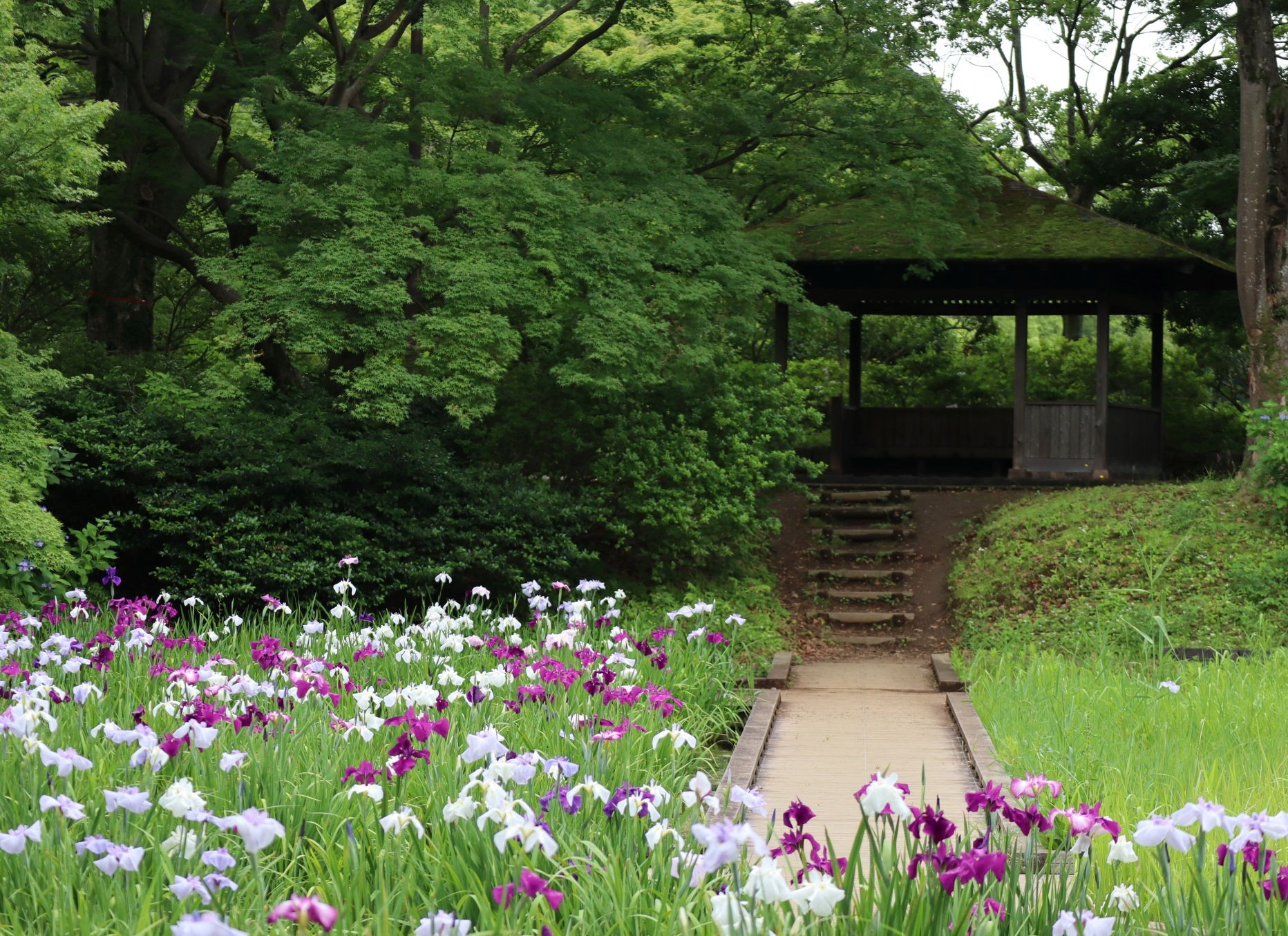 昭和記念公園