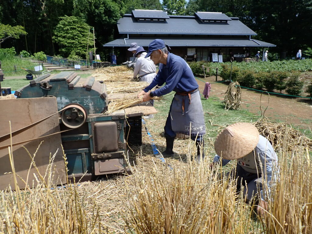 ボランティアブログ – 国営昭和記念公園公式ホームページ