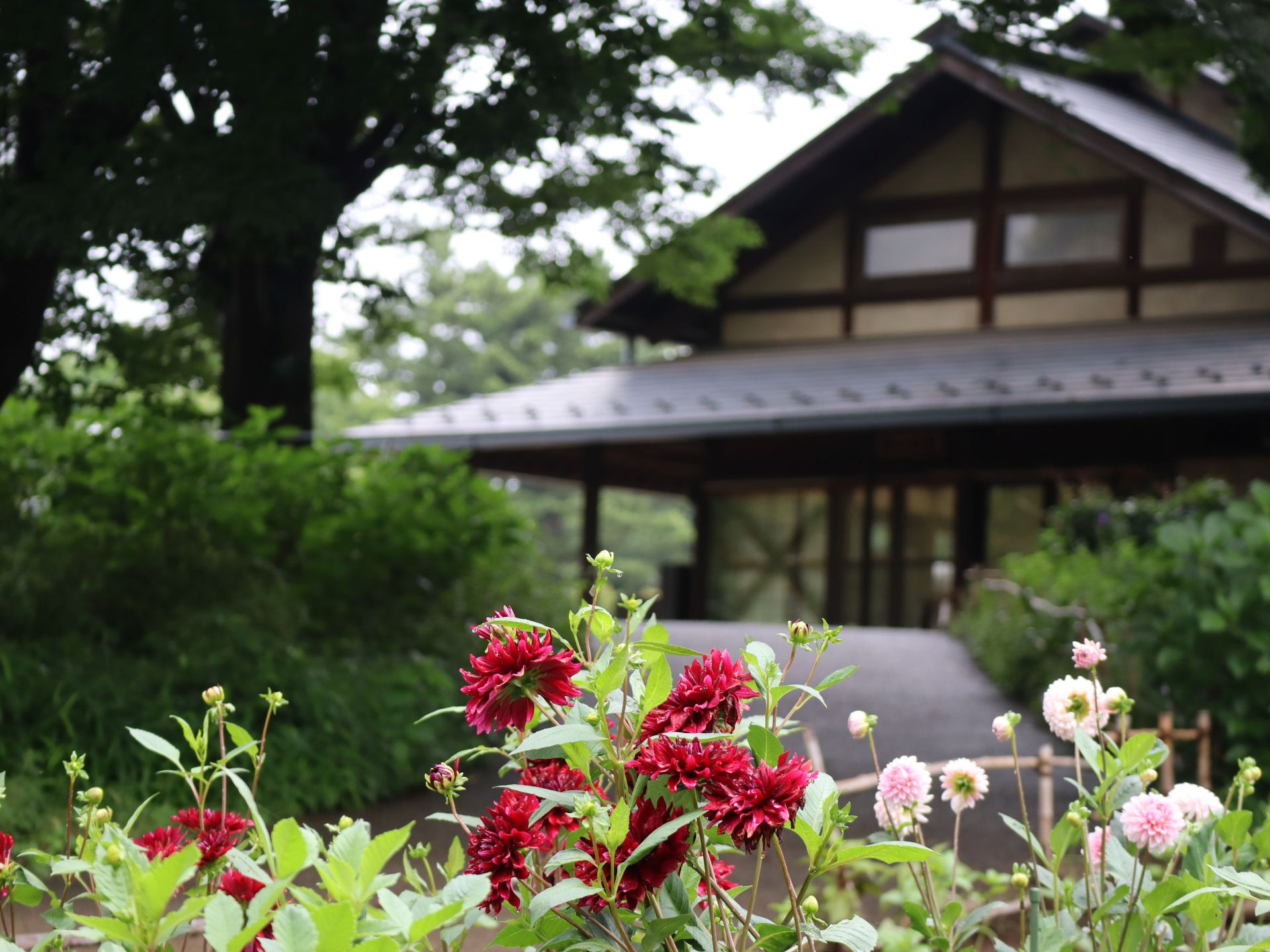 昭和記念公園
