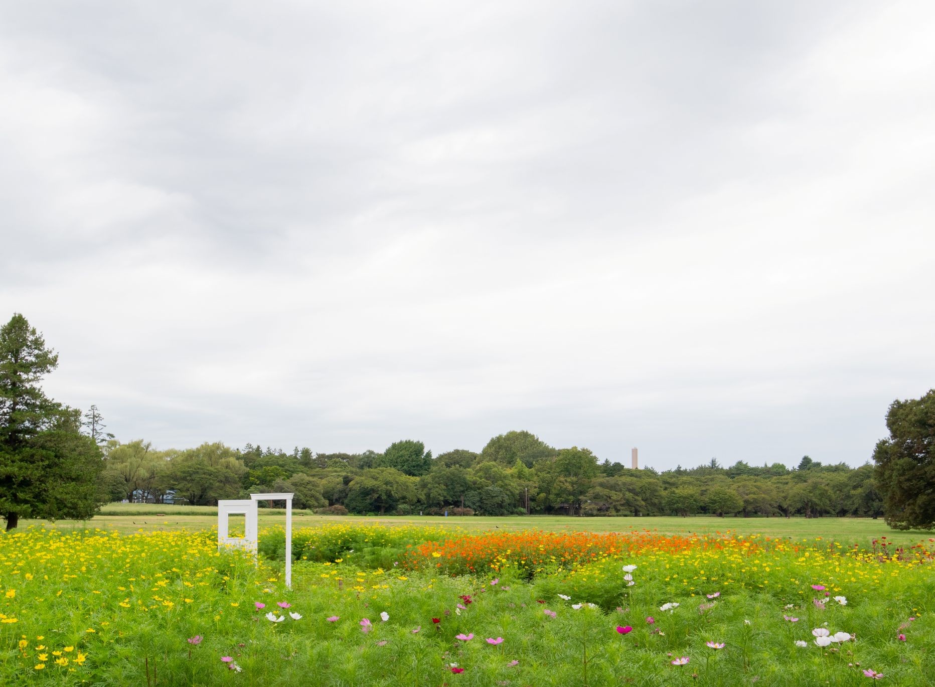 昭和記念公園
