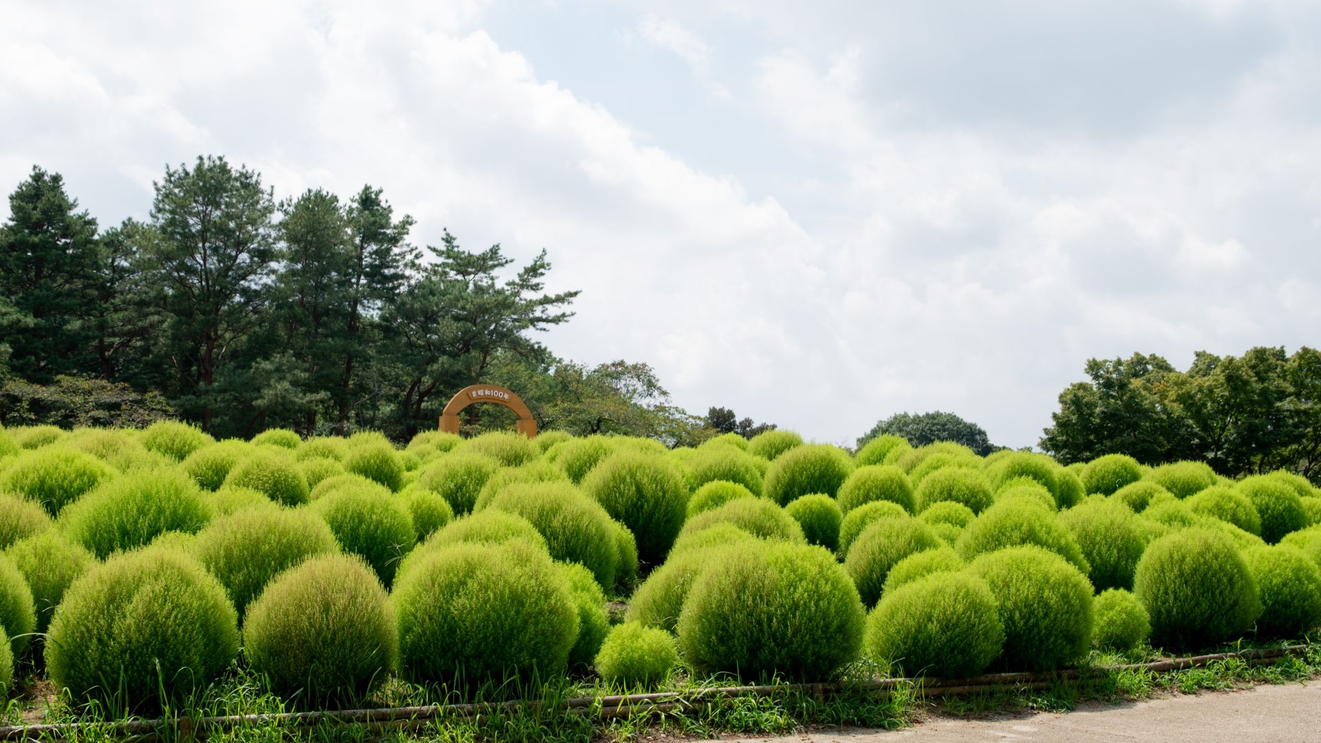 昭和記念公園