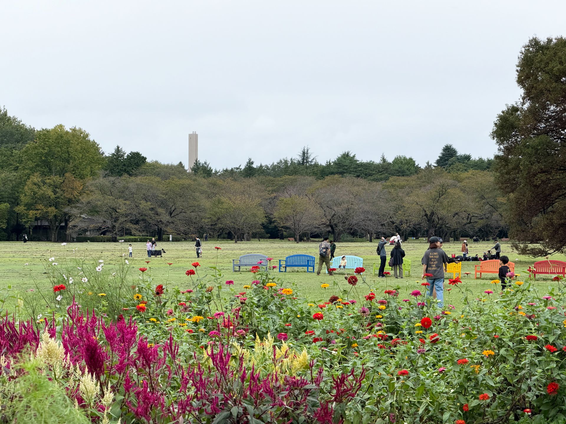 昭和記念公園