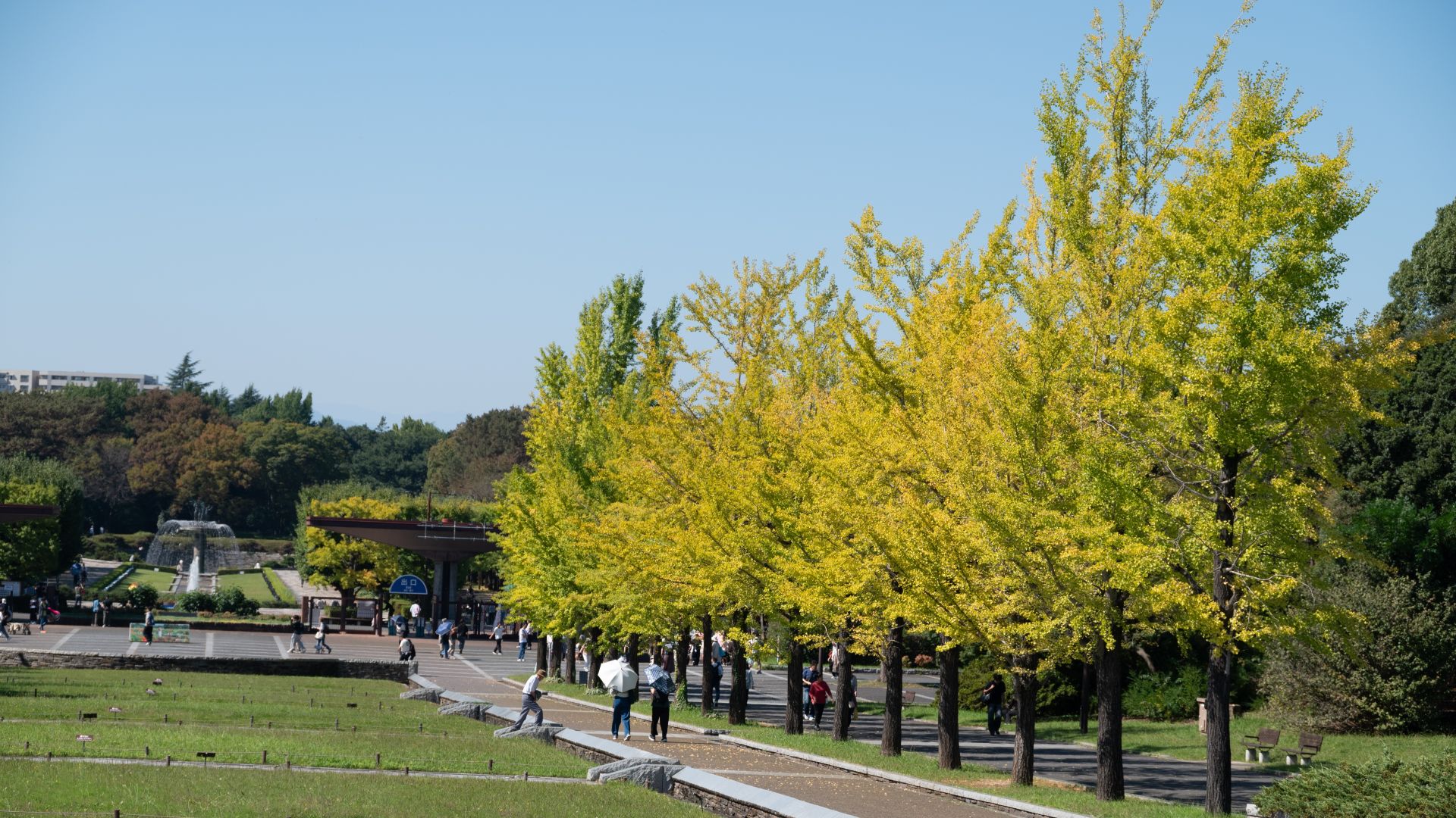 昭和記念公園
